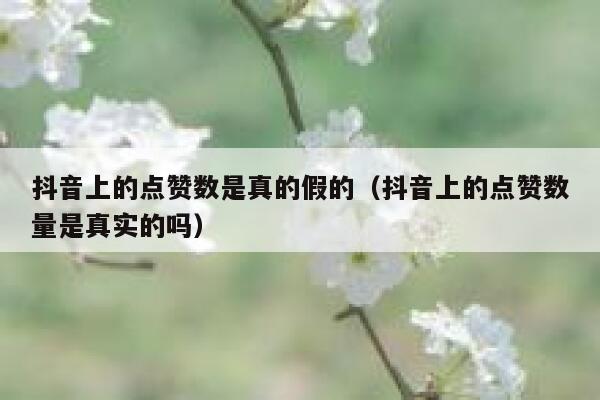 抖音上的点赞数是真的假的（抖音上的点赞数量是真实的吗） 第1张