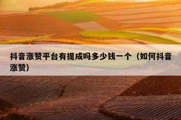 抖音涨赞平台有提成吗多少钱一个（如何抖音涨赞） 第1张