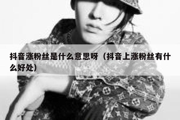 抖音涨粉丝是什么意思呀（抖音上涨粉丝有什么好处） 第1张