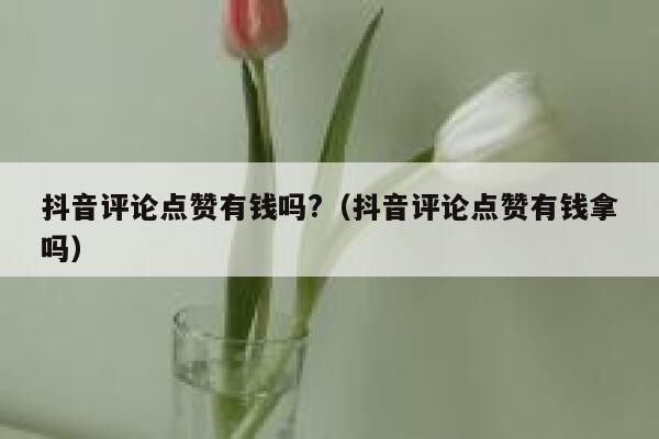 抖音评论点赞有钱吗?（抖音评论点赞有钱拿吗） 第1张
