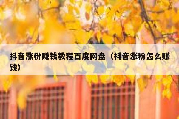 抖音涨粉赚钱教程百度网盘（抖音涨粉怎么赚钱） 第1张