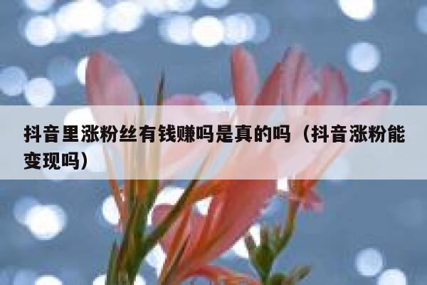 抖音里涨粉丝有钱赚吗是真的吗（抖音涨粉能变现吗） 第1张