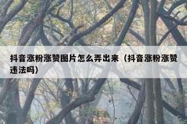 抖音涨粉涨赞图片怎么弄出来（抖音涨粉涨赞违法吗） 第1张