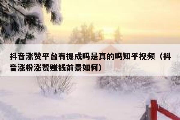 抖音涨赞平台有提成吗是真的吗知乎视频（抖音涨粉涨赞赚钱前景如何） 第1张