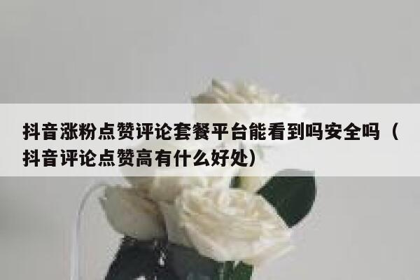 抖音涨粉点赞评论套餐平台能看到吗安全吗（抖音评论点赞高有什么好处） 第1张