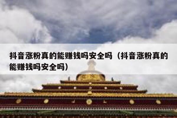 抖音涨粉真的能赚钱吗安全吗（抖音涨粉真的能赚钱吗安全吗） 第1张