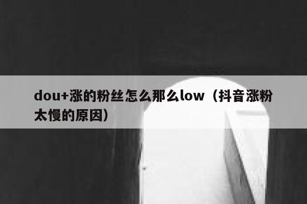 dou+涨的粉丝怎么那么low（抖音涨粉太慢的原因） 第1张