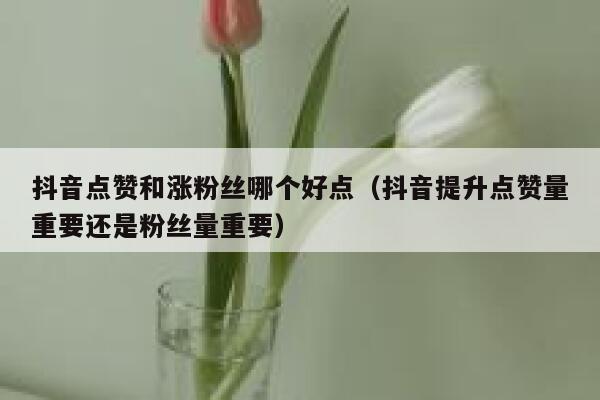 抖音点赞和涨粉丝哪个好点（抖音提升点赞量重要还是粉丝量重要） 第1张