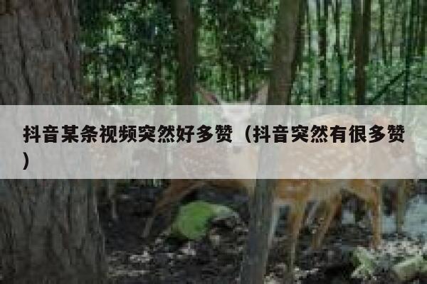 抖音某条视频突然好多赞（抖音突然有很多赞） 第1张