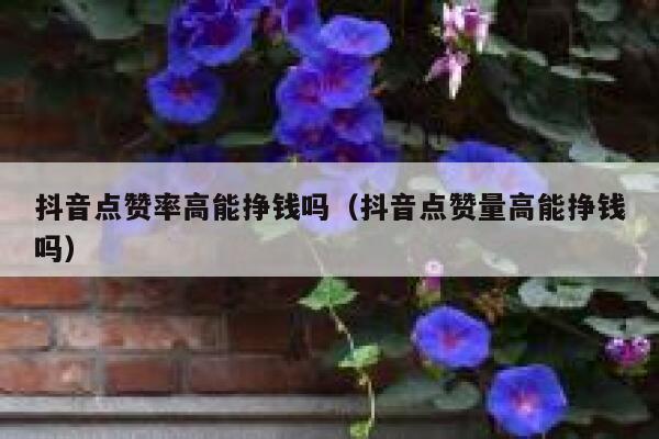 抖音点赞率高能挣钱吗（抖音点赞量高能挣钱吗） 第1张