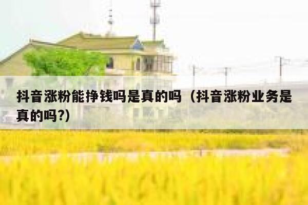 抖音涨粉能挣钱吗是真的吗（抖音涨粉业务是真的吗?） 第1张