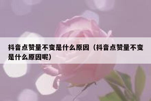 抖音点赞量不变是什么原因（抖音点赞量不变是什么原因呢） 第1张