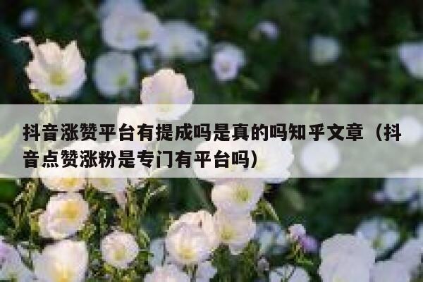 抖音涨赞平台有提成吗是真的吗知乎文章（抖音点赞涨粉是专门有平台吗） 第1张