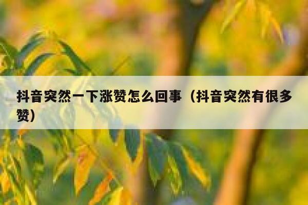 抖音突然一下涨赞怎么回事（抖音突然有很多赞） 第1张