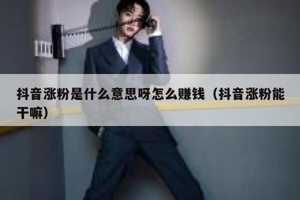 抖音涨粉是什么意思呀怎么赚钱（抖音涨粉能干嘛） 第1张