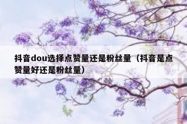 抖音dou选择点赞量还是粉丝量（抖音是点赞量好还是粉丝量） 第1张