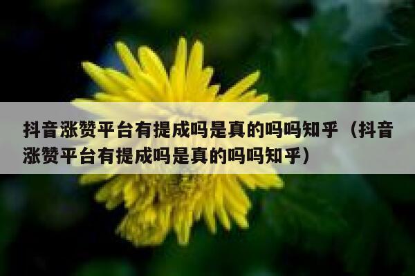 抖音涨赞平台有提成吗是真的吗吗知乎（抖音涨赞平台有提成吗是真的吗吗知乎） 第1张