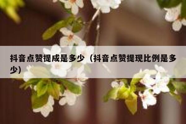 抖音点赞提成是多少（抖音点赞提现比例是多少） 第1张