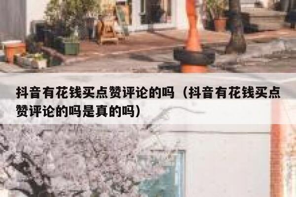抖音有花钱买点赞评论的吗（抖音有花钱买点赞评论的吗是真的吗） 第1张