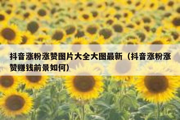 抖音涨粉涨赞图片大全大图最新（抖音涨粉涨赞赚钱前景如何） 第1张