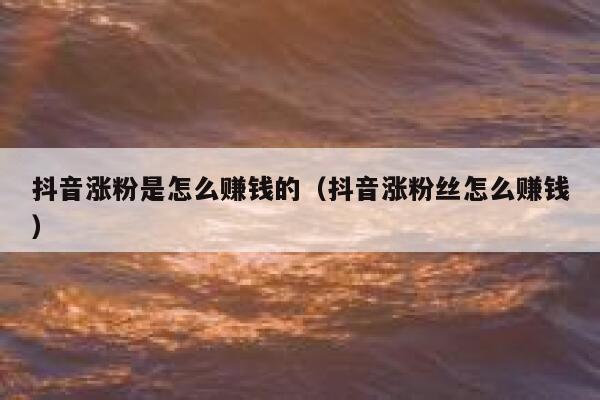 抖音涨粉是怎么赚钱的（抖音涨粉丝怎么赚钱） 第1张
