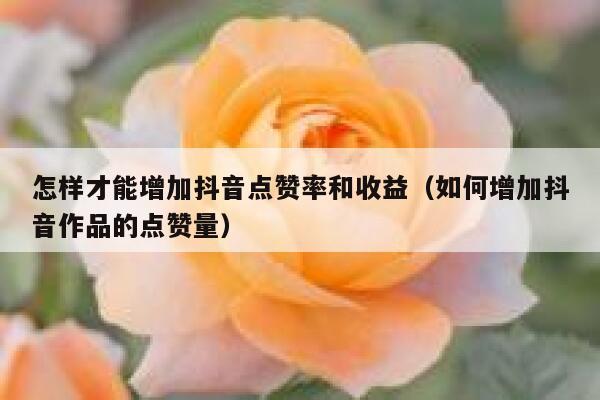 怎样才能增加抖音点赞率和收益（如何增加抖音作品的点赞量） 第1张