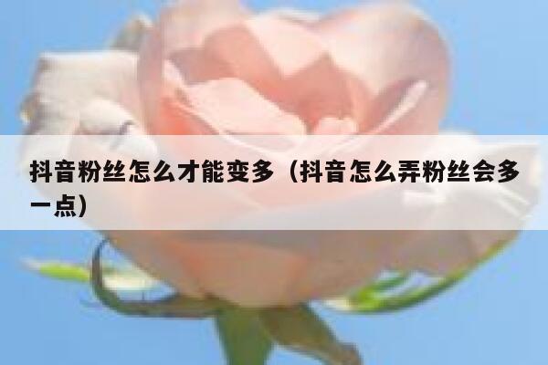 抖音粉丝怎么才能变多（抖音怎么弄粉丝会多一点） 第1张