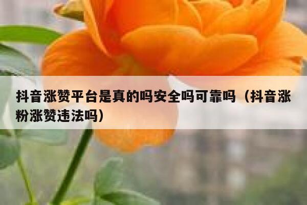 抖音涨赞平台是真的吗安全吗可靠吗（抖音涨粉涨赞违法吗） 第1张