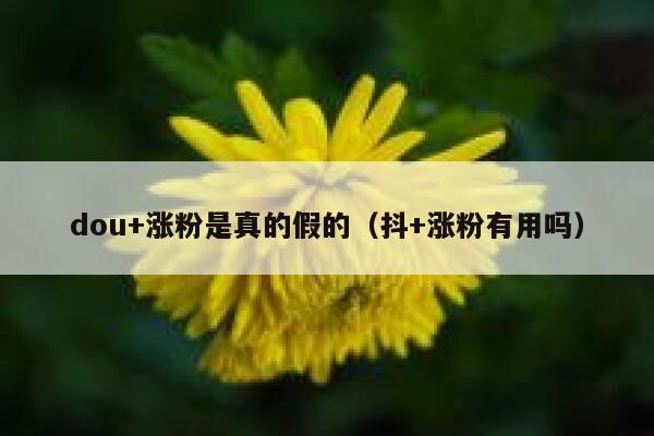 dou+涨粉是真的假的（抖+涨粉有用吗） 第1张