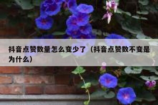 抖音点赞数量怎么变少了（抖音点赞数不变是为什么） 第1张