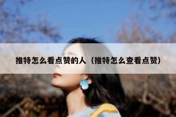 推特怎么看点赞的人（推特怎么查看点赞） 第1张
