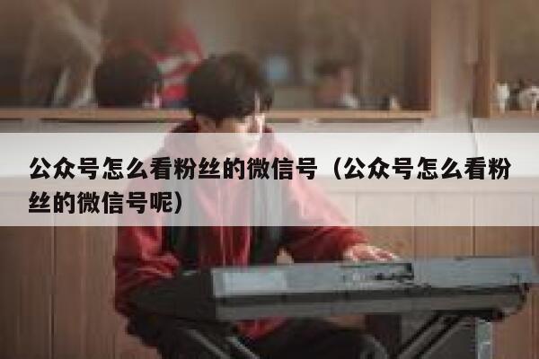 公众号怎么看粉丝的微信号（公众号怎么看粉丝的微信号呢） 第1张