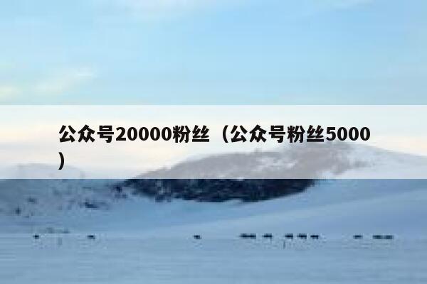 公众号20000粉丝（公众号粉丝5000） 第1张