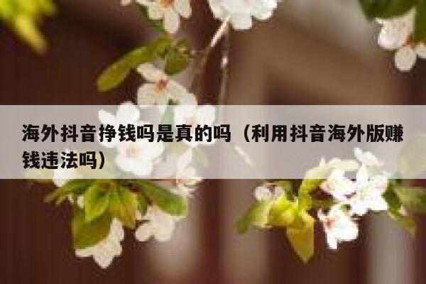 海外抖音挣钱吗是真的吗（利用抖音海外版赚钱违法吗） 第1张