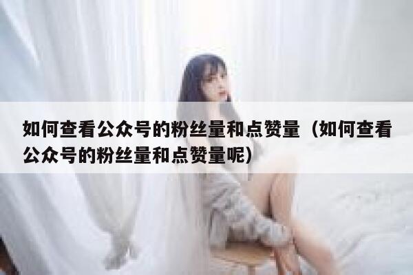 如何查看公众号的粉丝量和点赞量（如何查看公众号的粉丝量和点赞量呢） 第1张