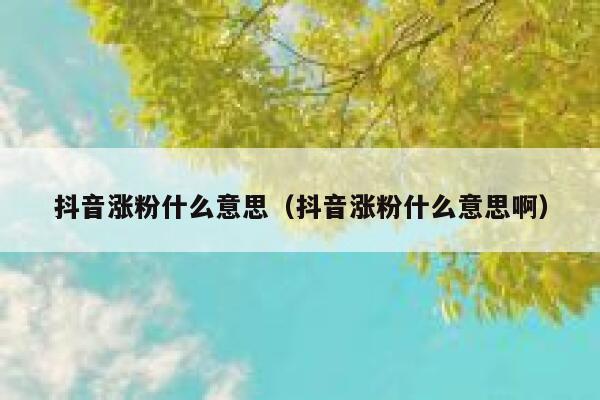 抖音涨粉什么意思（抖音涨粉什么意思啊） 第1张