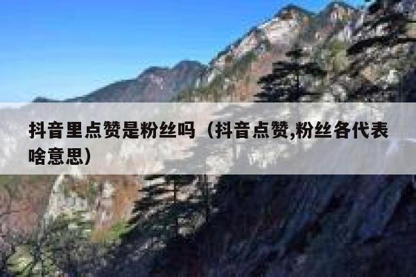 抖音里点赞是粉丝吗（抖音点赞,粉丝各代表啥意思） 第1张