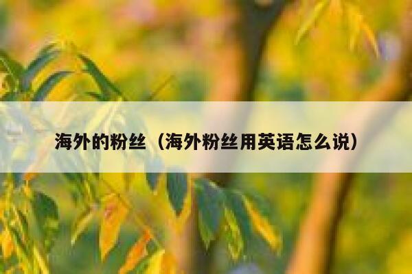 海外的粉丝（海外粉丝用英语怎么说） 第1张