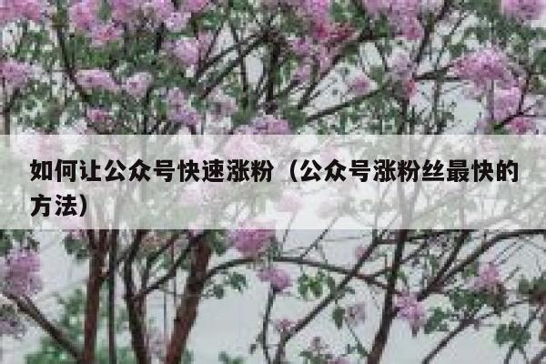如何让公众号快速涨粉（公众号涨粉丝最快的方法） 第1张
