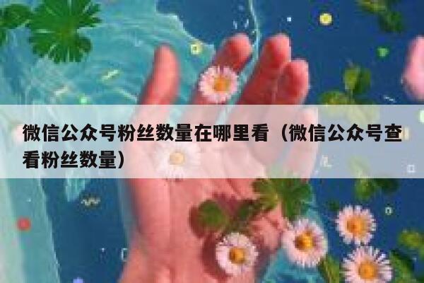 微信公众号粉丝数量在哪里看（微信公众号查看粉丝数量） 第1张