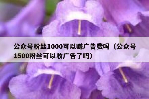 公众号粉丝1000可以赚广告费吗（公众号1500粉丝可以收广告了吗） 第1张