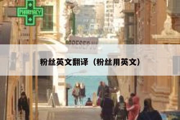 粉丝英文翻译（粉丝用英文） 第1张