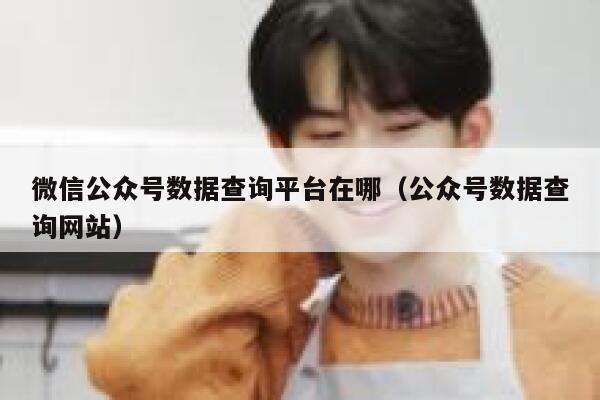 微信公众号数据查询平台在哪（公众号数据查询网站） 第1张