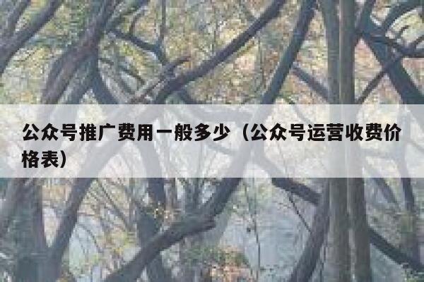 公众号推广费用一般多少（公众号运营收费价格表） 第1张