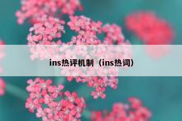 ins热评机制（ins热词） 第1张