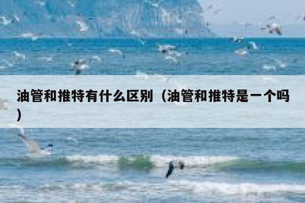 油管和推特有什么区别（油管和推特是一个吗） 第1张