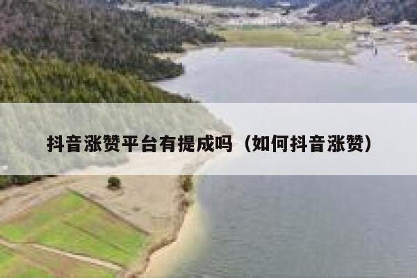 抖音涨赞平台有提成吗（如何抖音涨赞） 第1张