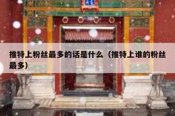 推特上粉丝最多的话是什么（推特上谁的粉丝最多） 第1张