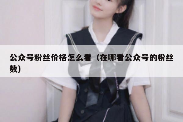 公众号粉丝价格怎么看（在哪看公众号的粉丝数） 第1张