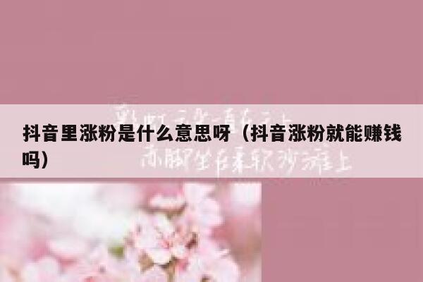 抖音里涨粉是什么意思呀（抖音涨粉就能赚钱吗） 第1张